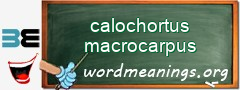 WordMeaning blackboard for calochortus macrocarpus